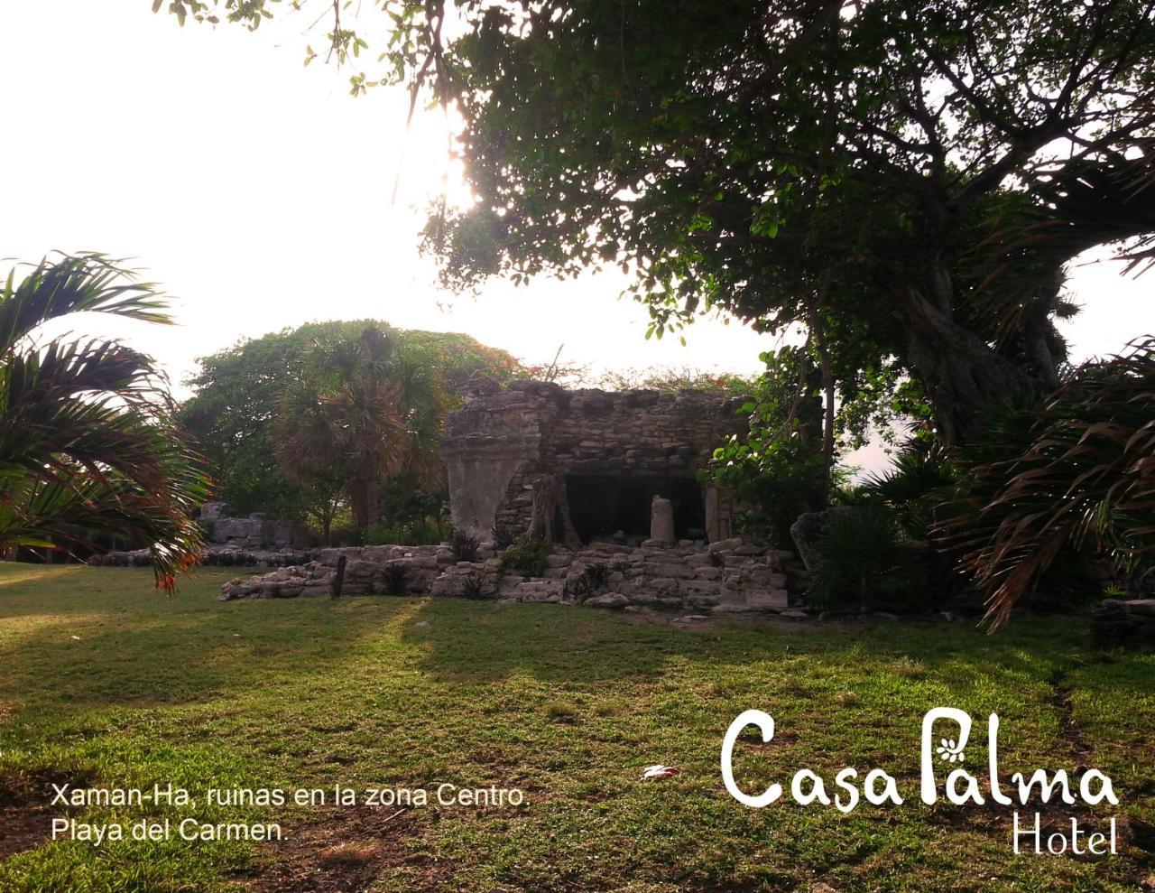 Casa Palma Hotel Playa del Carmen Exteriör bild